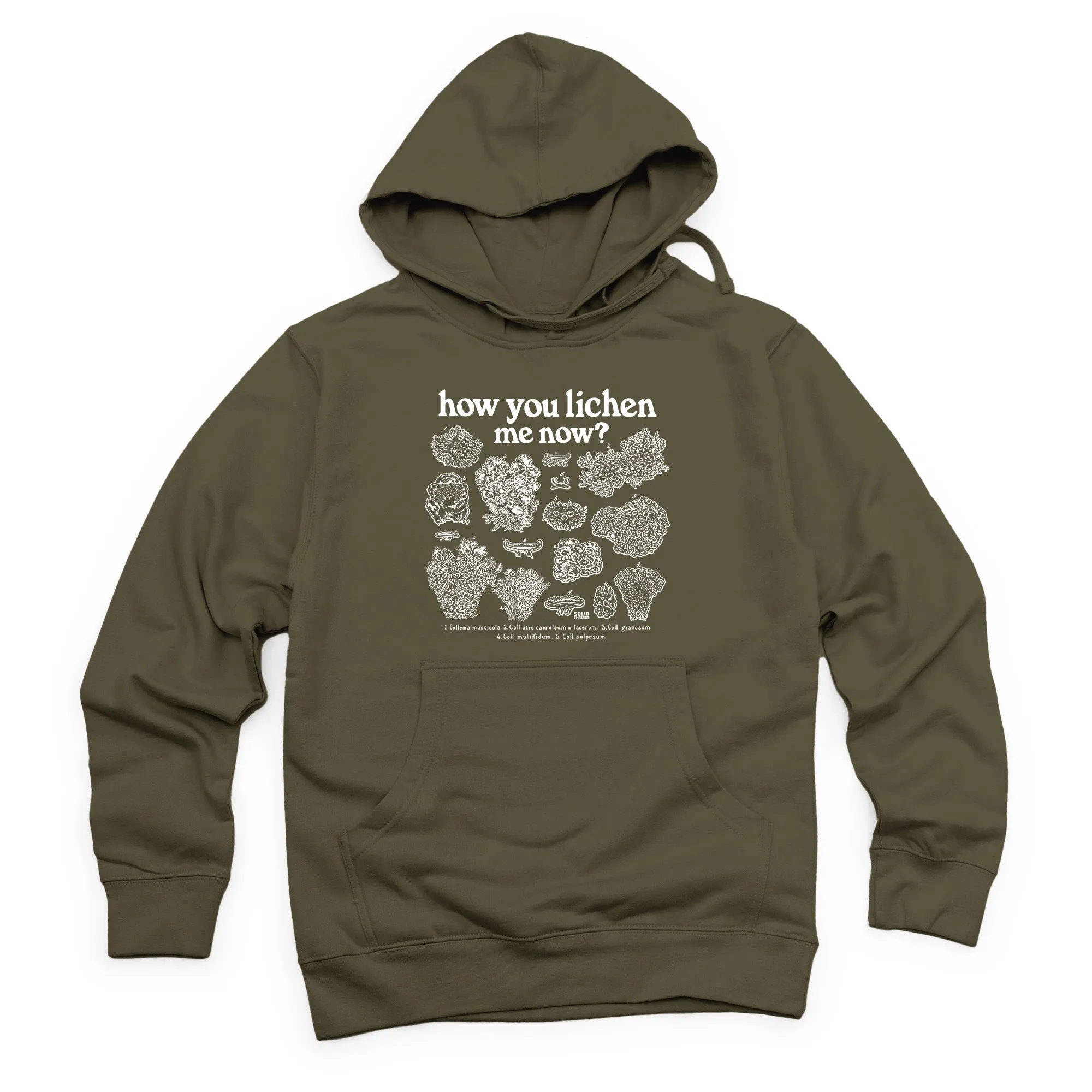 How You Lichen Me Now Midweight Pullover Hoodie