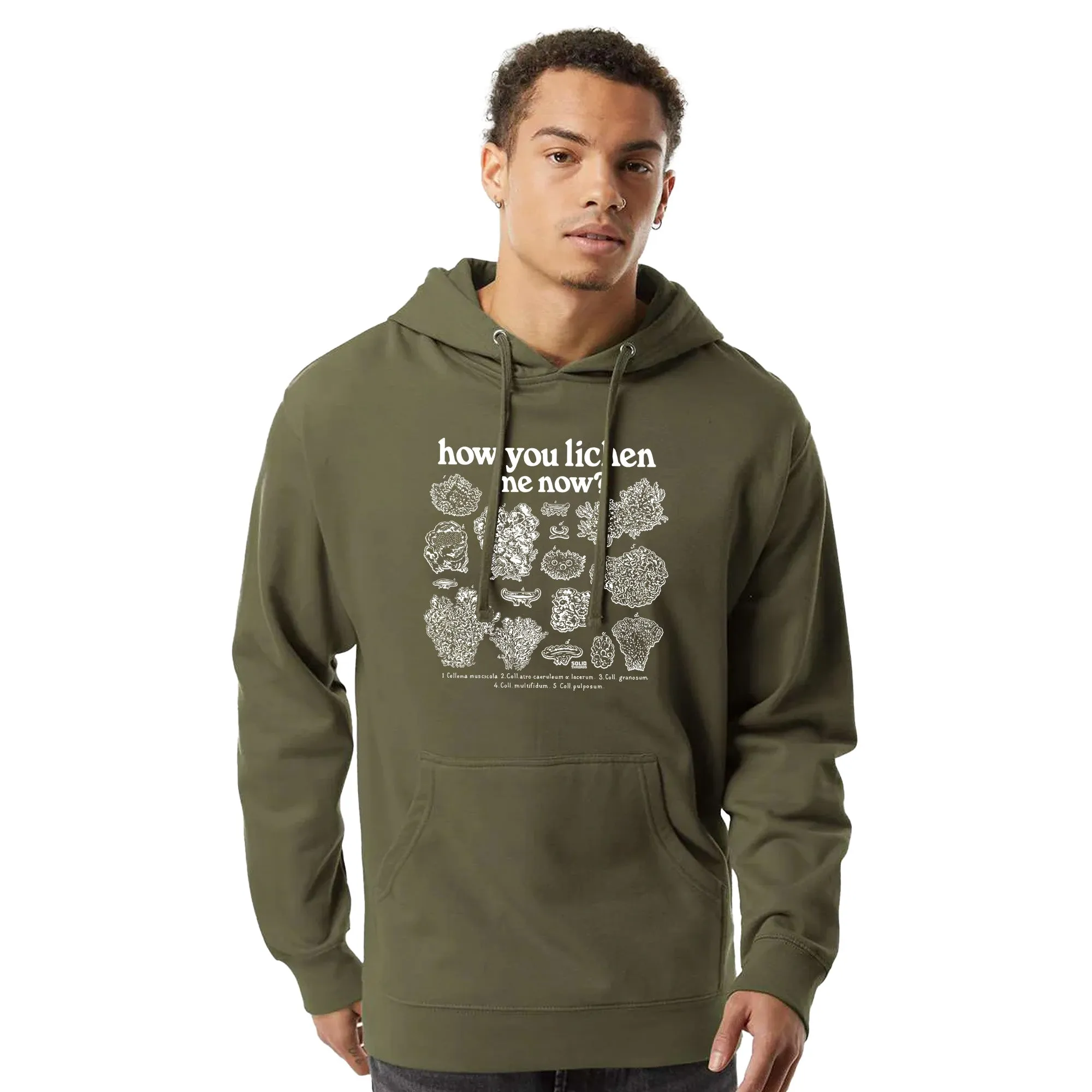 How You Lichen Me Now Midweight Pullover Hoodie
