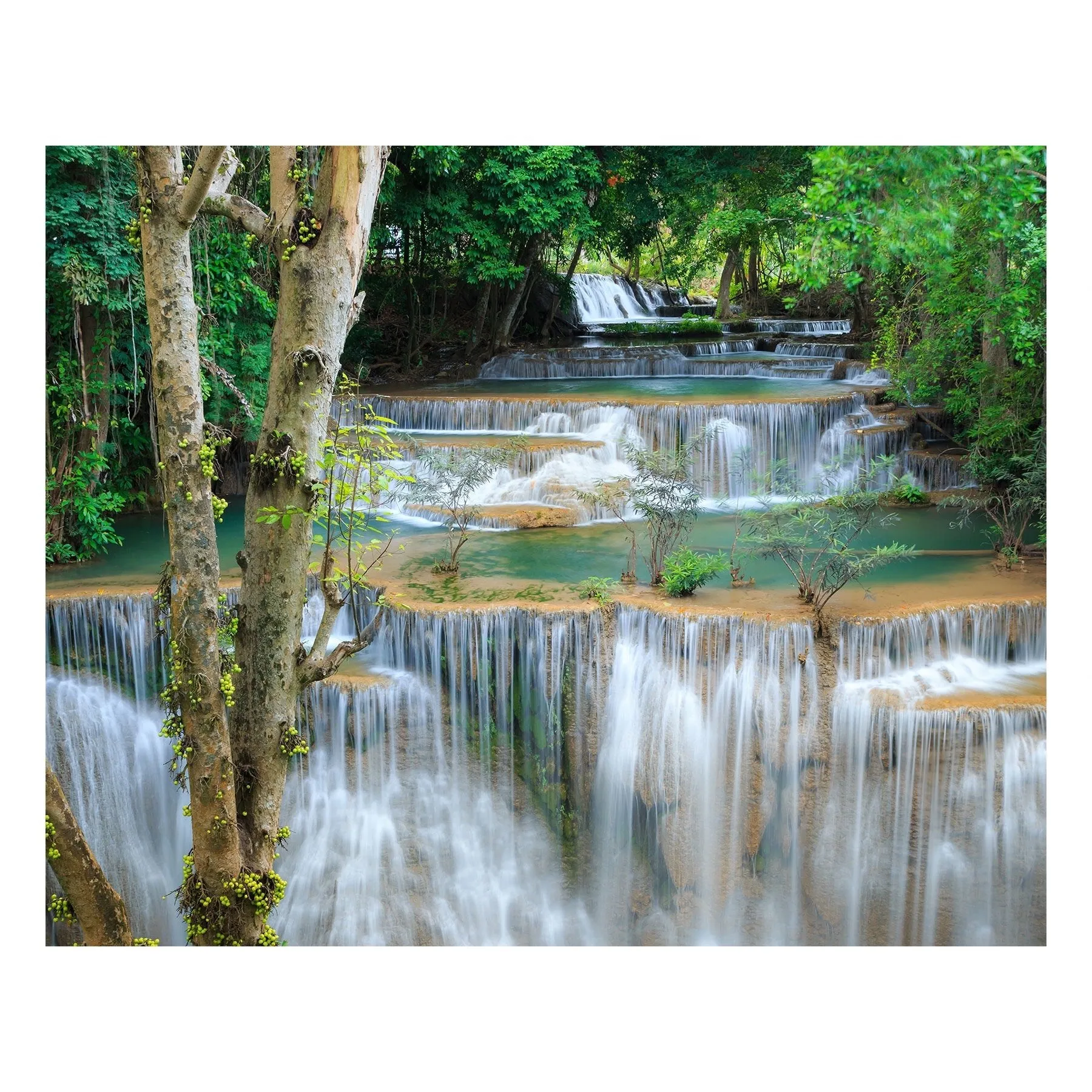 "Rainforest Falls" | Matted Print